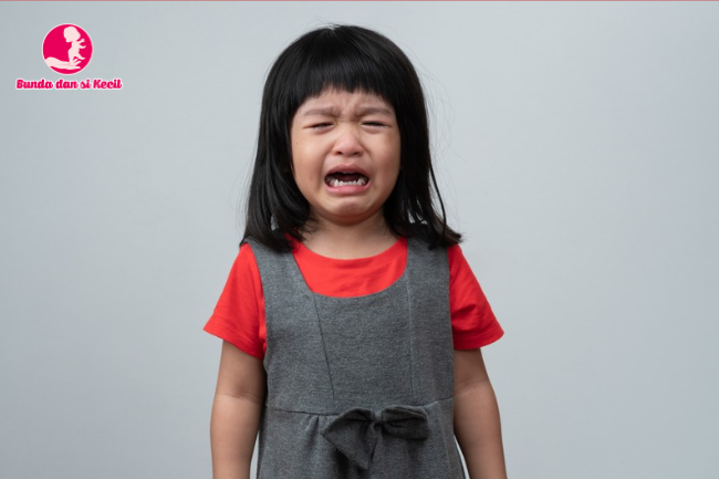 Cara Menghadapi Anak Menangis Tanpa Ikut Emosi